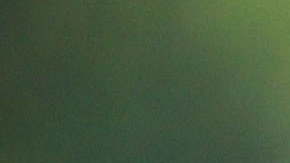 El tricolor tendrá un cuadro plagado de jóvenes.