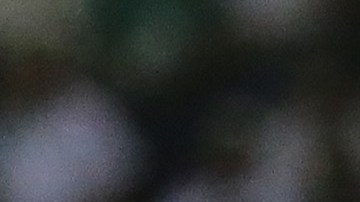 Con este resultado los rojinegros aún mantienen el sueño de jugar la Liguilla.