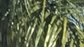 Decenas de trabajadores pidieron que se respeten sus derechos.