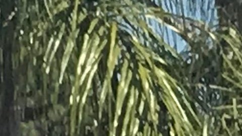 Decenas de trabajadores pidieron que se respeten sus derechos.