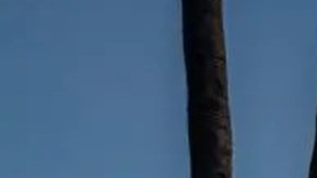 La casa fue vendida en $3.925 millones.