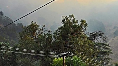 El incendio causó evacuaciones en la ciudad de Glendale y el cierre de tramos de la autopista 134 y la autopista 2.