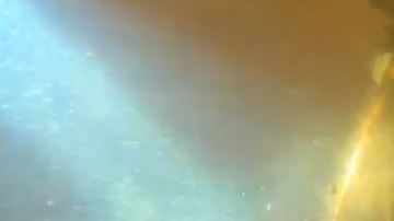 El iPhone se encontraba en perfectas condiciones.