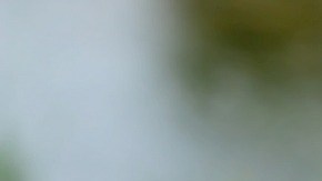 La app busca darle el tiempo suficiente a las personas para que se preparen al momento del terremoto.