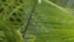 NI JLo se ha puesto leggings tan descarados...