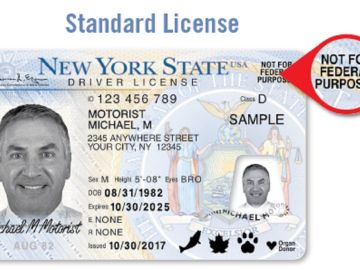 Este documento no es una REAL ID, pero es una licencia de manejo válida.