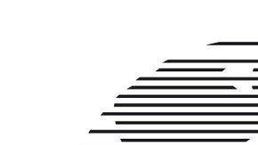 El emblema derrotó al de Sudáfrica 2010 con el 53% de los votos