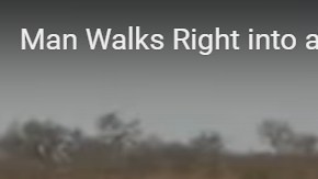 El guía tomó con calma el encuentro con los leones.