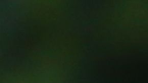 La eterna polémica mundial: ¿Quién es mejor? ¿Pelé o Maradona?