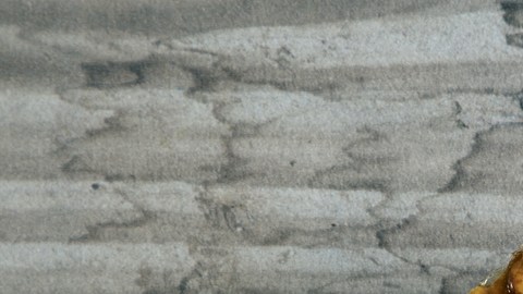 Palanquetas del cacahuate