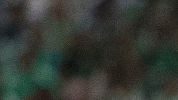 Los partidos entre México y Estados Unidos siempre sacan chispas.