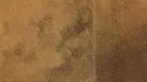 Miguel García, dueño de Dalila’s Pet Gromming,  con uno de sus perros.