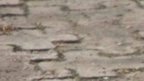 El incendio lo causó una mujer quemando cartas de amor.