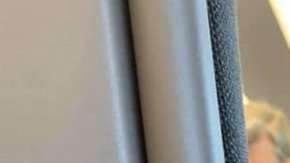 El divertido perrito conquistó a todo el pasaje.