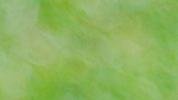 Ricardo Pelaez, Director Deportivo del Cruz Azul.