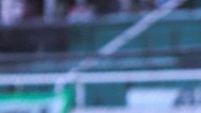 El canino se aburrió cuando acudió a apoyar al Nueva Chicago de Argentina