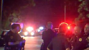 Desmantelan campamento ligado con narcotráfico.