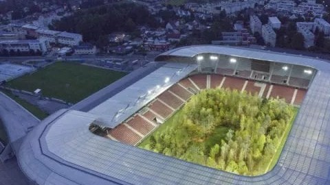 La intención de hacer conciencia sobre el cambio climático y la deforestación
