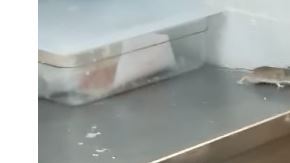 Whataburger no ha dado comentarios sobre el incidente.