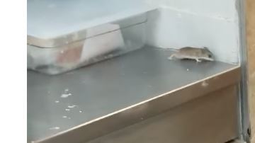 Whataburger no ha dado comentarios sobre el incidente.