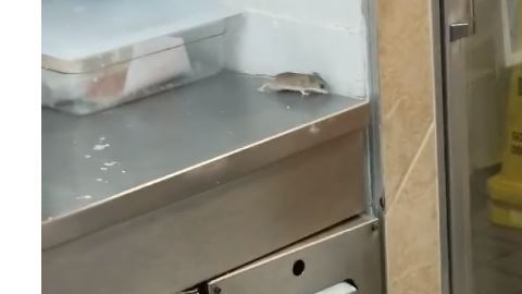 Whataburger no ha dado comentarios sobre el incidente.