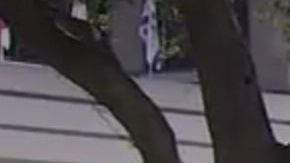 Varios pisos del hotel fueron desalojados.