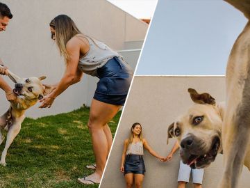 Una sesión de fotos previa a la boda tan divertida que se hizo viral.