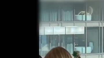 Los empleados no paraban de reír ante lo que veían.