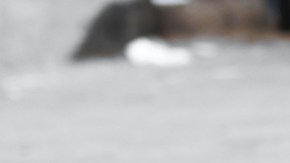 La mujer comenzó a sentirse mal cuando desmembraba el cuerpo de su esposo.