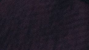 shutterstock_506137132