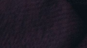 shutterstock_506137132