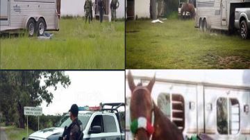Sicarios matan a cuatro personas y un caballo durante carrera en territorio de El Mencho