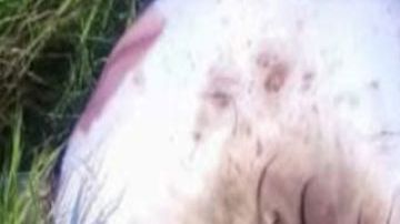 Sicarios torturan, degollan y además desfiguran con ácido a mujer