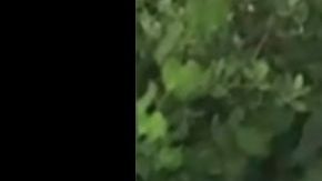 Aleyah Elaine Toscano