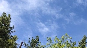 El Incendio Walker se localiza cerca de Wheeler Peak en el Parque Nacional Plumas.