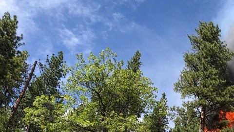 El Incendio Walker se localiza cerca de Wheeler Peak en el Parque Nacional Plumas.