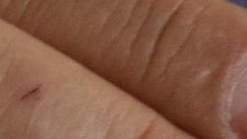 Unas 55,000 personas podrán aplicar para el programa de Visas de Diversidad.