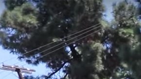 En un solo día, este indigente tuvo varias grandes sorpresas.