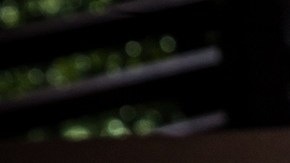 Omelette de espinacas