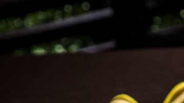 Omelette de espinacas