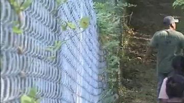 Vecinos se han unido al rastreo