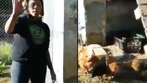 Imágenes del video del grupo vegano.
