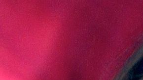 Verónica Castro desmiente haberse casado con Yolanda Andrade / Foto: Mezcalent