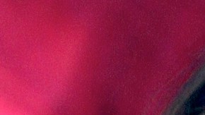 Verónica Castro desmiente haberse casado con Yolanda Andrade / Foto: Mezcalent