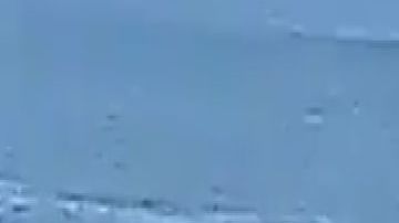 VIDEO: Persecución por mar a narcotraficante que escapaban tras una balacera en México