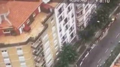 Las cámaras descubrieron el plantío en una de las principales avenidas de Barcelona.