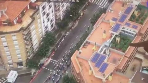 Las cámaras descubrieron el plantío en una de las principales avenidas de Barcelona.