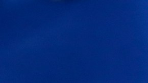 El mole, proveniente de México, se ha convertido ya en un platillo típico de Los Ángeles también.