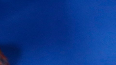 El mole, proveniente de México, se ha convertido ya en un platillo típico de Los Ángeles también.