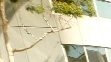 El expresidente Emérito del Senado de California, Kevin de León, se unió ayer a los trabajadores. / foto: Aurelia Ventura.